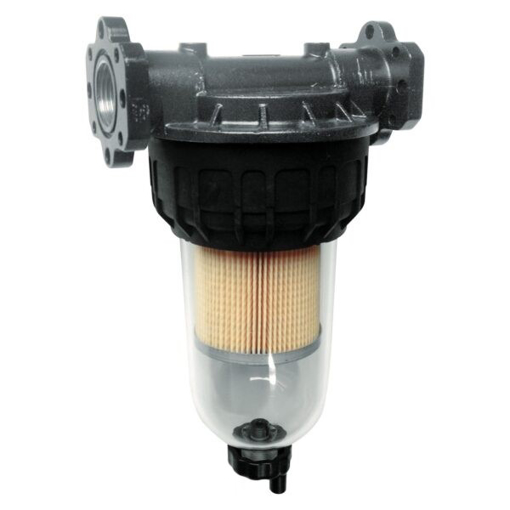 Picture of F00611B10 - Filtration - Cartridge Only 70Lmin Clear Captor