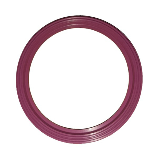 Picture of API800-1 - Seal Product Viton B Api800