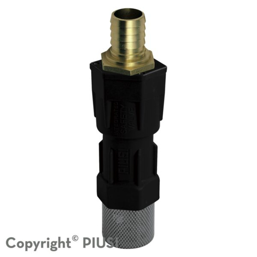 Picture of F00609000 - Foot Valve Diam.25