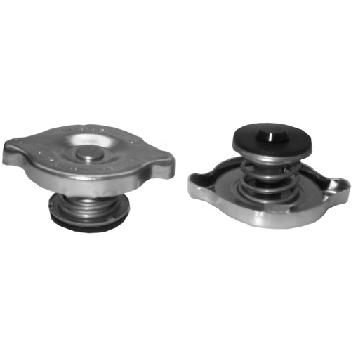 Picture of T1 - BLANK OFF CAP - CAR TYPE